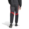 Pantalon Survetement River Plate GrisRouge