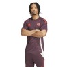 Maillot Entrainement Bayern Munich Violet