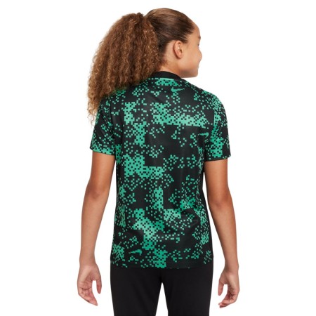 Maillot Nike Academy Pro Enfant Vert