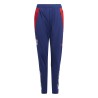 Pantalon  Entrainement Ol Enfant Bleu