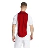 Maillot Ajax Amsterdam Domicle 202425