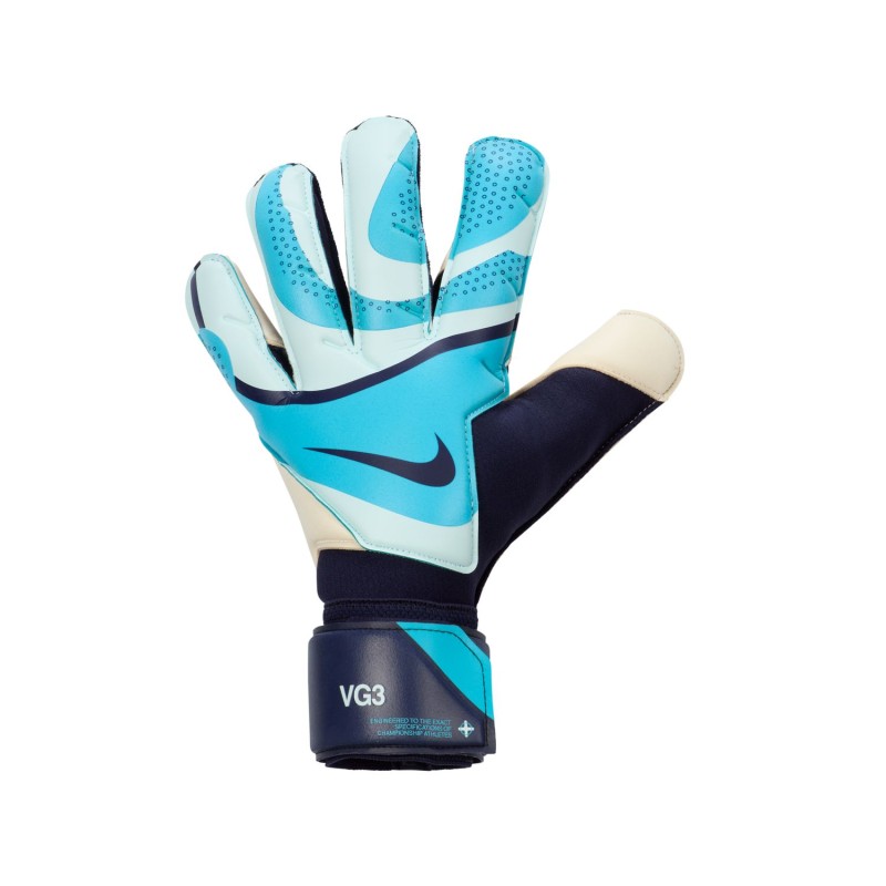 Gant Gardien Nike Vapor Grip3 Bleu