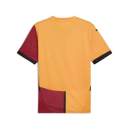 Maillot Galatasaray Domicile 2024/25