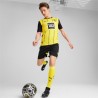 Maillot Dortmund Domicile 202425