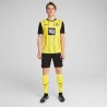 Maillot Dortmund Domicile 202425